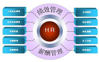 想當HR？